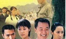 好看的励志电视剧