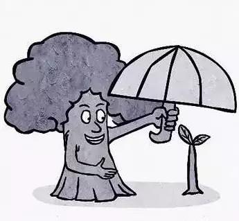 “贫困学生”可以创造奇迹