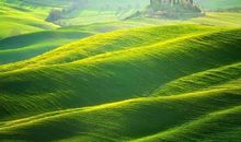 为了长久的幸福，别贪恋眼前的安逸