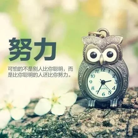 励志文章:渡轮自己