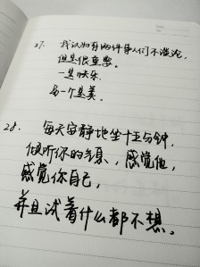 50个简短的句子