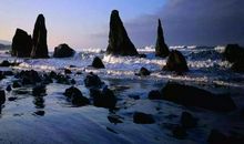 生活在苦难里发酵