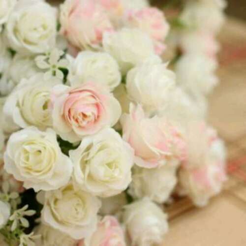 这个世界的每个角落,都有人在挣扎