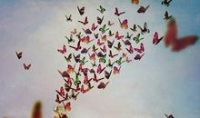 经典励志文章：如何找到你的人生目标