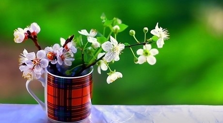 给职场新人的一些建议