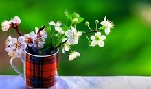 给职场新人的一些意见