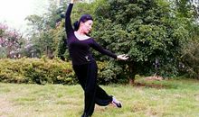 上帝为每只笨鸟都准备了一根矮树枝