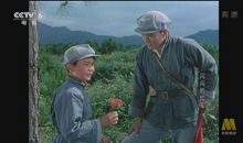 盘点9本足以触动你灵魂的小说