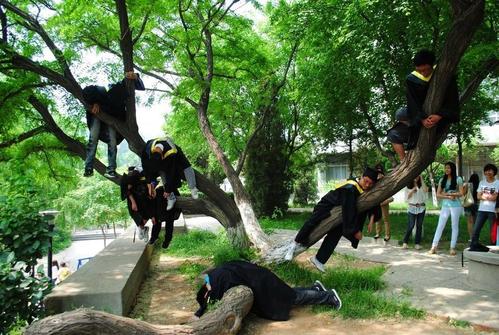 当我还是大一的时候