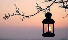 励志文章：人生最大的冒险就是不去冒险