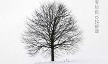 强者让不适变的舒适