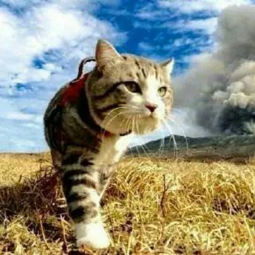 行动当下,时间到结果