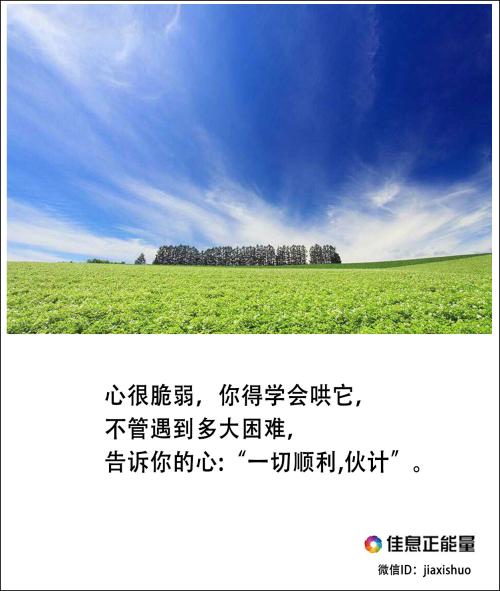 经典励志文章：生活多么艰难，我们都要奋斗