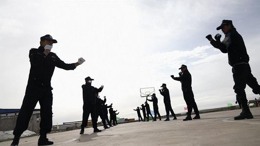 鼓舞人心的文章：生命禁区中的复活草