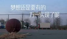 梦想还是要有的，万一实现了呢？