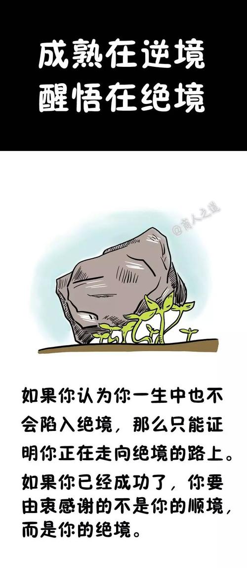 在逆境中成熟,在绝望中唤醒