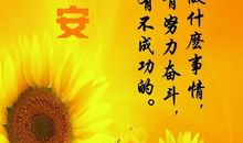 失败了再爬起来