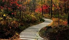 前进需要勇气，拐弯需要智慧