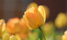 每个人都应该有阳光样的人生