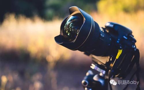 每天问自己10个问题，然后去打架