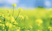 经典励志文章：善待痛苦