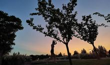 放弃比努力容易