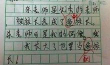 我是小雷锋作文