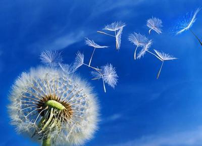 经典励志文章：感谢逆境