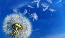 经典励志文章：感谢逆境