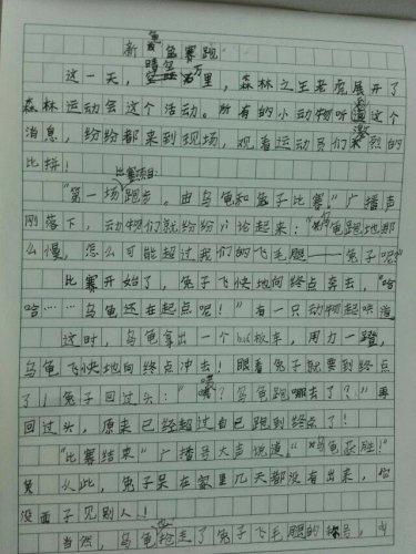 乌龟和野兔种族组成