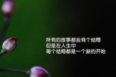 我自己的审美句子