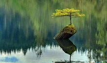 关于逆境中成长的励志名言