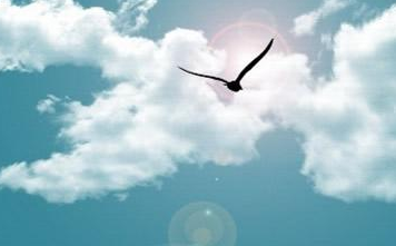 高中鼓舞人心的论文:微笑使天空丰富多彩