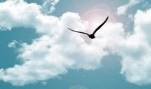 高三励志美文：微笑让天空变得多彩