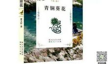 青铜葵花读后感1800字