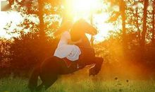 上帝掌握的只是一半