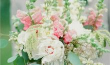 每个人都是宇宙间一粒小小的草芥，但都渴望一片柔软的花瓣