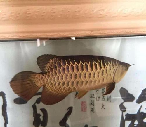 忍受孤独赢得胜利