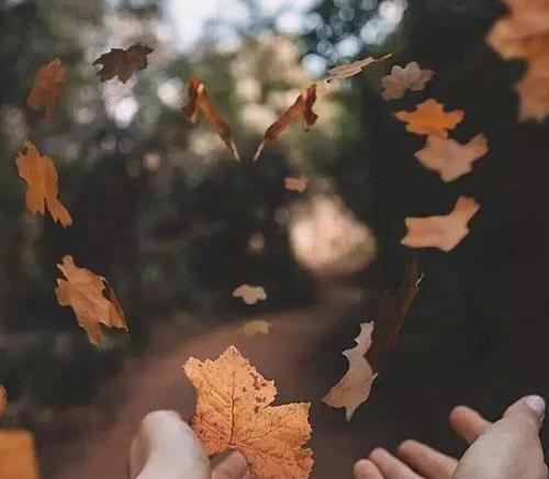 热情而甜美的句子