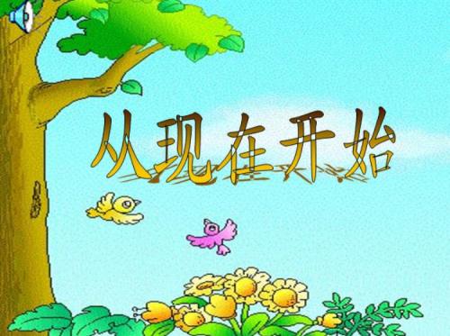 明年这个时候，您今天就要开始表演了