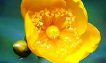 经典语录：最痛苦的真相，也好过最甜蜜的谎言