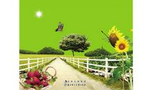 励志人生：命运和运气是什么