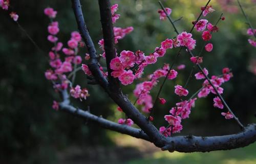 感谢那些温暖人心的陌生人