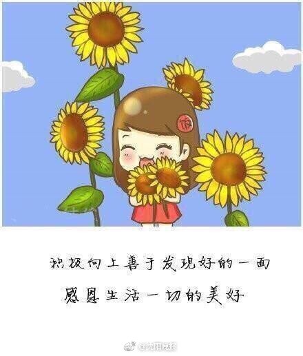 对不好的生活说“不”：请不要，不要解释，不要用力，不要即兴