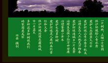 关于环保的语句