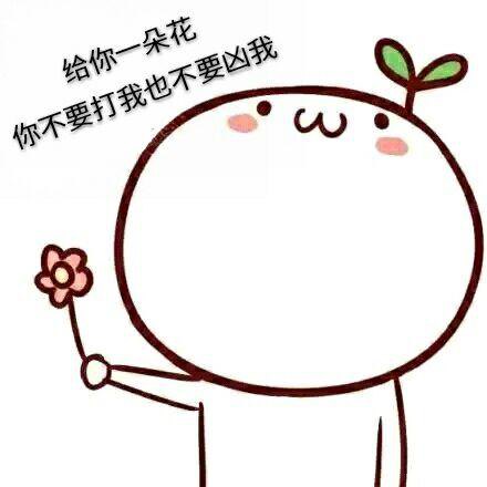 一句话中的一朵花