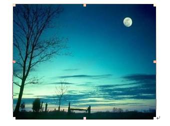 边志林:距离的组织