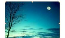 卞之琳：距离的组织