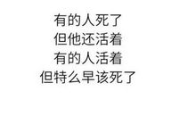 富有哲理的情感语句