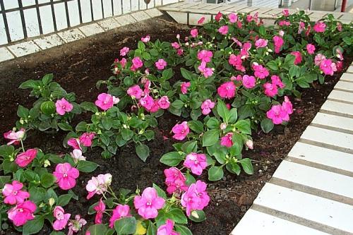 语气优美的优美句子